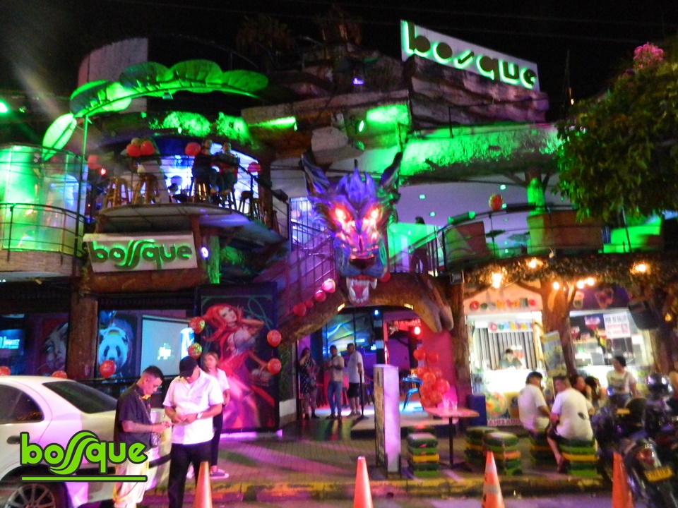 El Bosque Discoteca